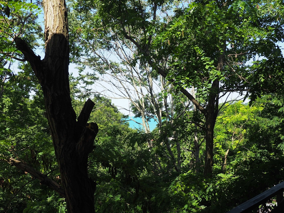 Вдоль моря на скутере | Поездки | Журнал Омоймот