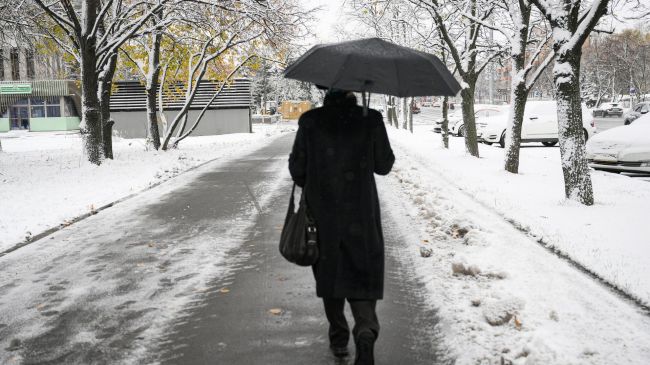Гидрометцентр: 23 апреля в Москве до +6 градусов, дождь, мокрый снег