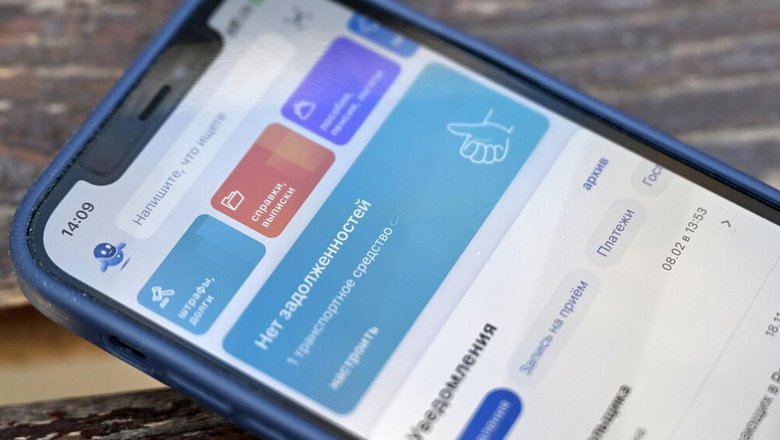 Юрист научил, как спасти от мошенников профиль на Госуслугах