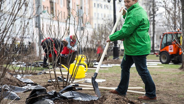 «Надел перчатки, взял лопату»: Любовь нужно искать на субботниках вместо сайтов знакомств