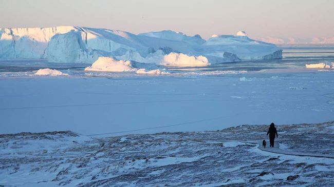 Правительство России озаботилось созданием грузового флота высокого ледового класса