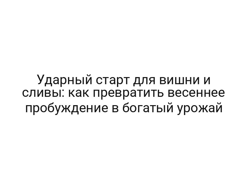 Ударный старт для вишни и сливы: как превратить весеннее пробуждение в богатый урожай
