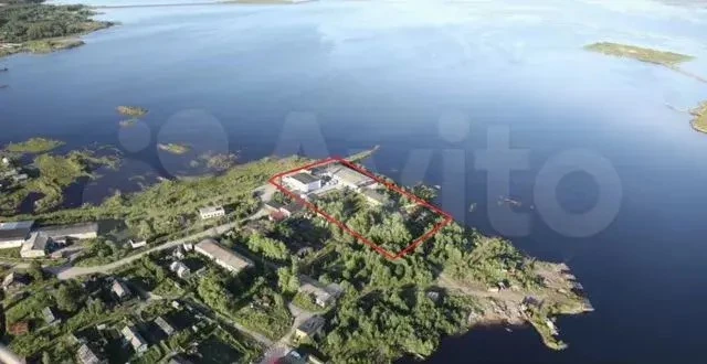 В Карелии выставили на продажу рыбоперерабатывающий завод на берегу Белого моря