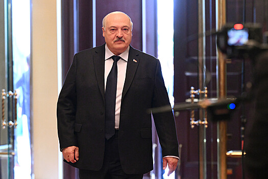 МИД России отреагировал на санкции против сыновей Лукашенко