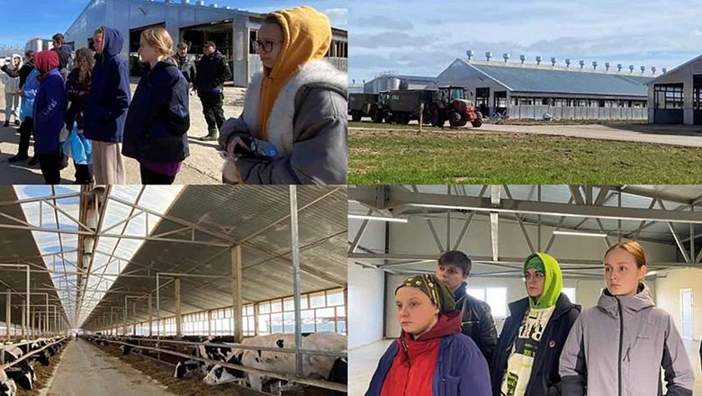 Племенной завод в Ленобласти посетили будущие ветеринарные врачи