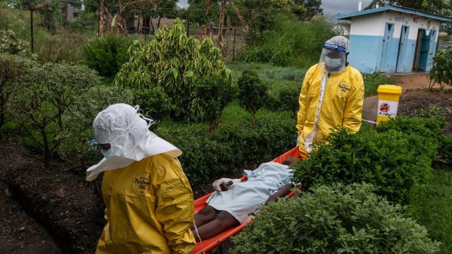 Вирус Эбола добрался до Франции: зафиксирован первый случай заражения