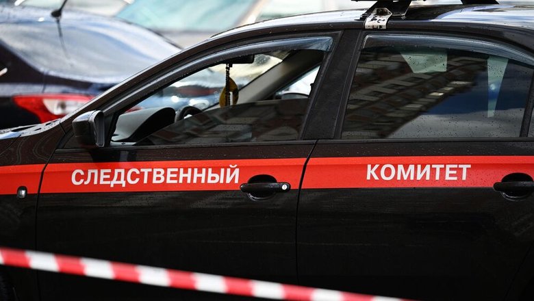 Обвиняемого в убийстве девочки в Кемерово отправят на экспертизу