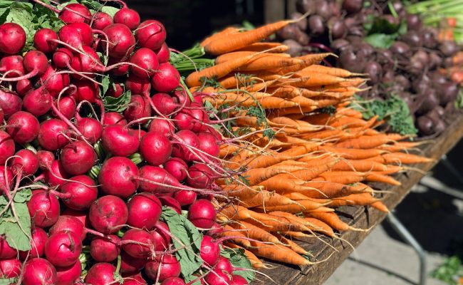 Логистика на Украине рухнула, и теперь продуктовые магазины стоят пустыми